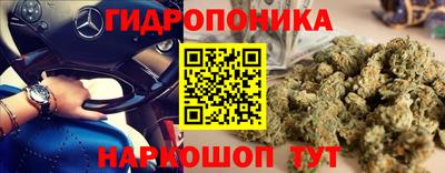 трава Вязьма