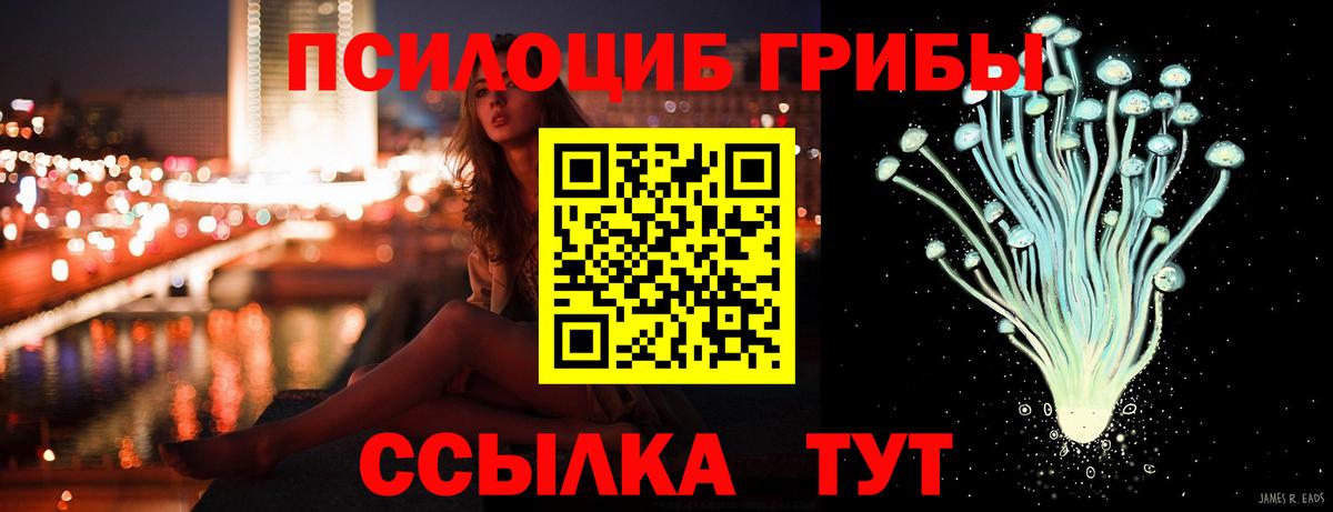 Псилоцибиновые грибы Psilocybe Волгоград